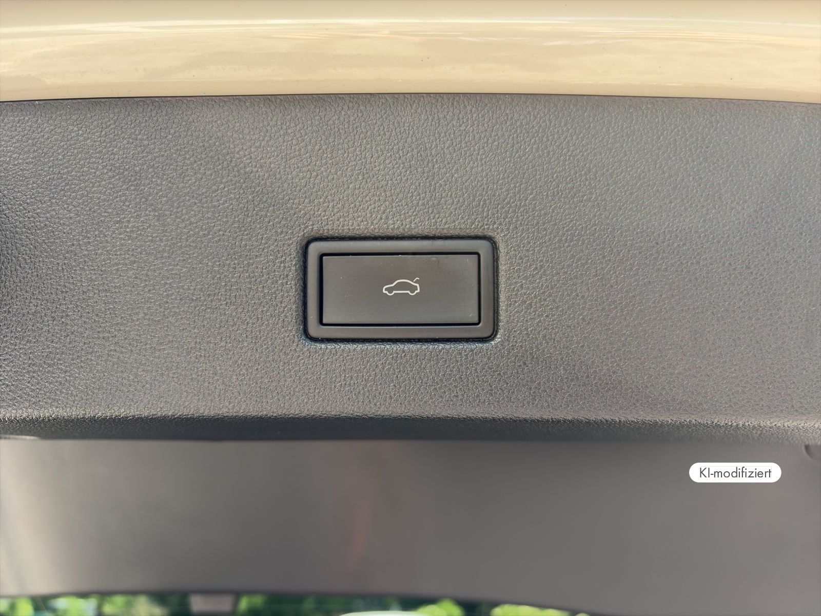 Volkswagen T-Roc - Bild 17