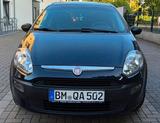 Fiat punto evo - Fiat Punto Evo in Köln