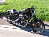 Harley-Davidson Iron 883 Sportster XL2 mit Penzl mechan. Klappe - Angebote entsprechen deinen Suchkriterien