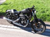 Harley-Davidson Iron 883 Sportster XL2 mit Penzl mechan. Klappe - Angebote entsprechen deinen Suchkriterien