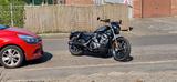 Harley-Davidson Nightster R975 5HD Neufahrzeug Klappenauspuffanl