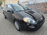 Fiat Punto Pop TÜV neu - Fiat Punto: Schwarz