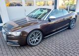 Audi S5  Cabrio - Einzelstück - - Audi S5: Cabrio