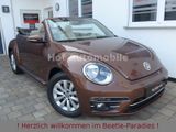 Volkswagen Beetle 1.2TSI DSG Design Navi AppCon Blindspot - VW Beetle gebraucht in Frankfurt