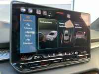 Cupra Terramar 2.0 TSI DSG 4D VZ NAV HUD PANO AHK 5J G bei Autohaus Landmann & Maier OHG
