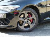 Alfa Romeo Giulia Veloce 2.0 Turbo 16V AT8-Q4 - Alfa Romeo mit Benzin-Antrieb: Limousine