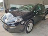 Fiat Punto 1.3 MJT / DA NEOPATENTATI / EURO 6B - Fiat Punto mit Diesel-Antrieb: 1.6
