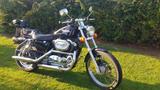 Harley-Davidson XLH 1200 Custom - 1. Hand - HARLEY-DAVIDSON 2000