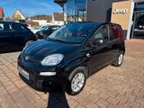 Fiat PANDA 1.2 More 69PS USB RADIO KLIMA - gebrauchte Fiat Panda aus dem Jahr 2018