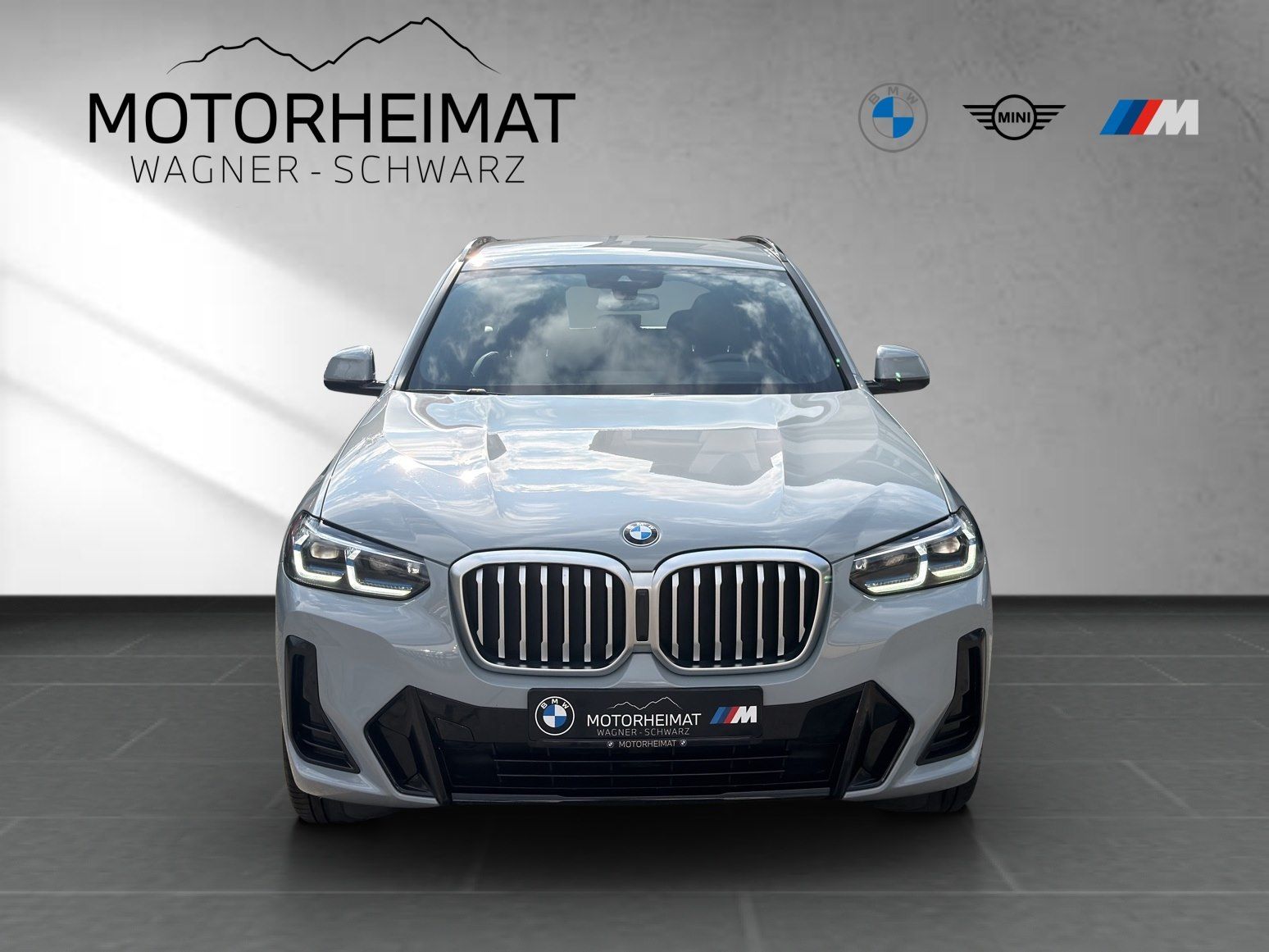 BMW X3 xDrive20i M Sport HUD RFK Laser Standhzg foto 3
