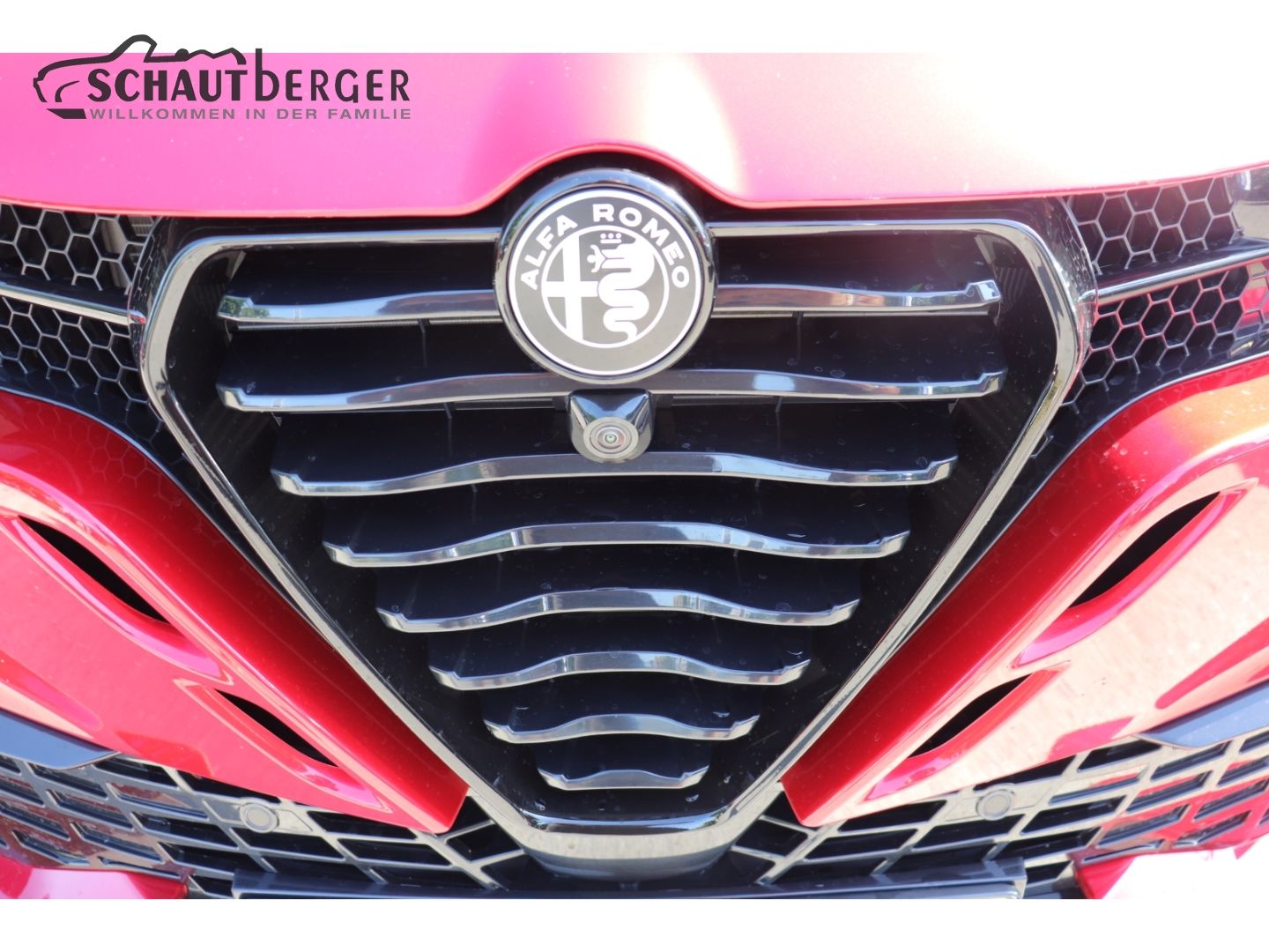 Alfa Romeo Tonale - Bild 15