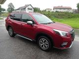 Subaru Forester Comfort "AHK abnehmbar, Navi, Kamera" - rote Subaru Forester
