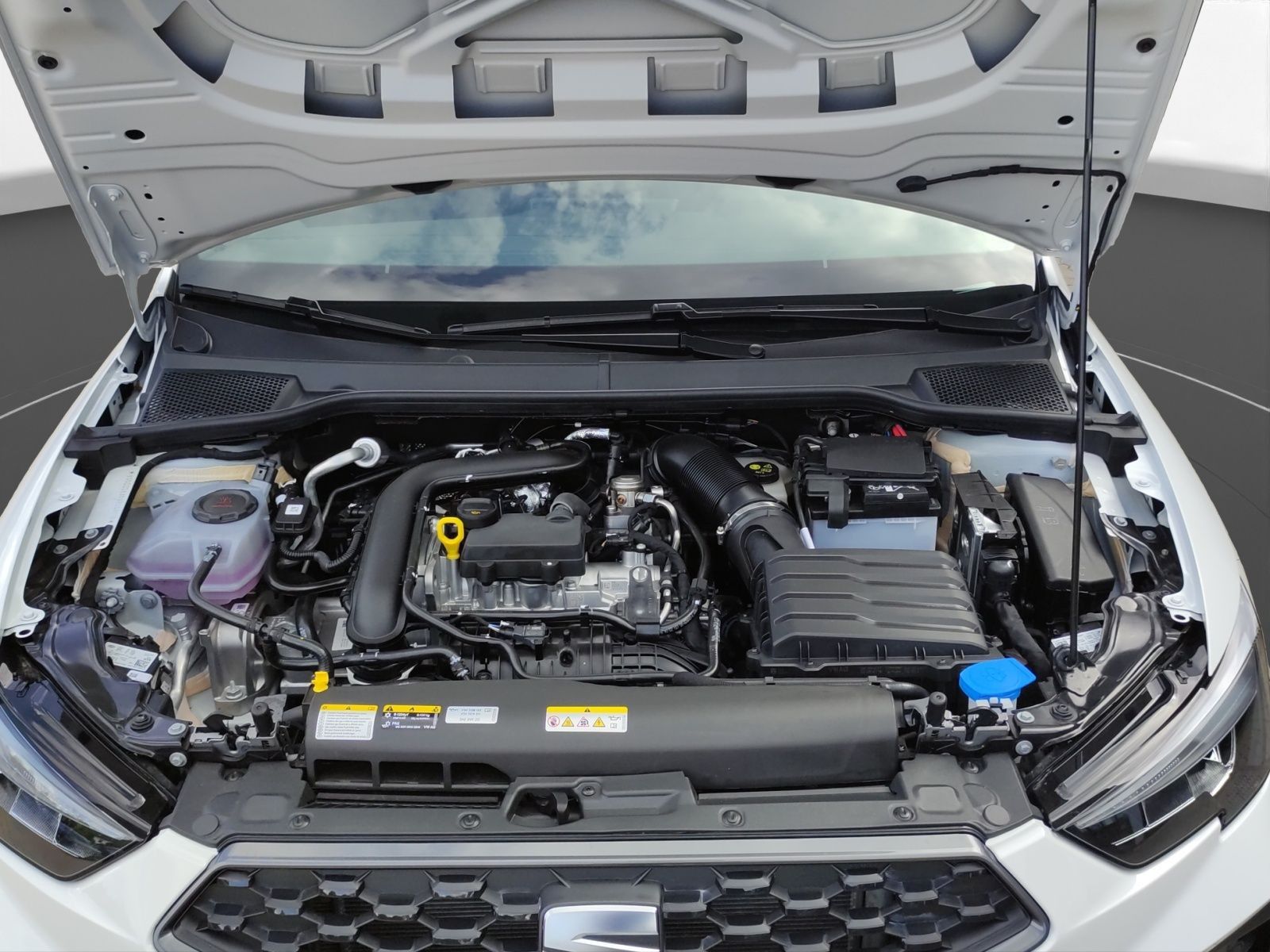 Seat Ibiza - Bild 19