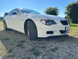 BMW M6 Coupé M6 Carbon Paket - weiße BMW M6