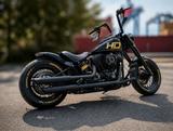 Harley-Davidson FLS Softaile Slim, Twin Cam 103, UMBAU  - Harley-Davidson Softail Slim S
