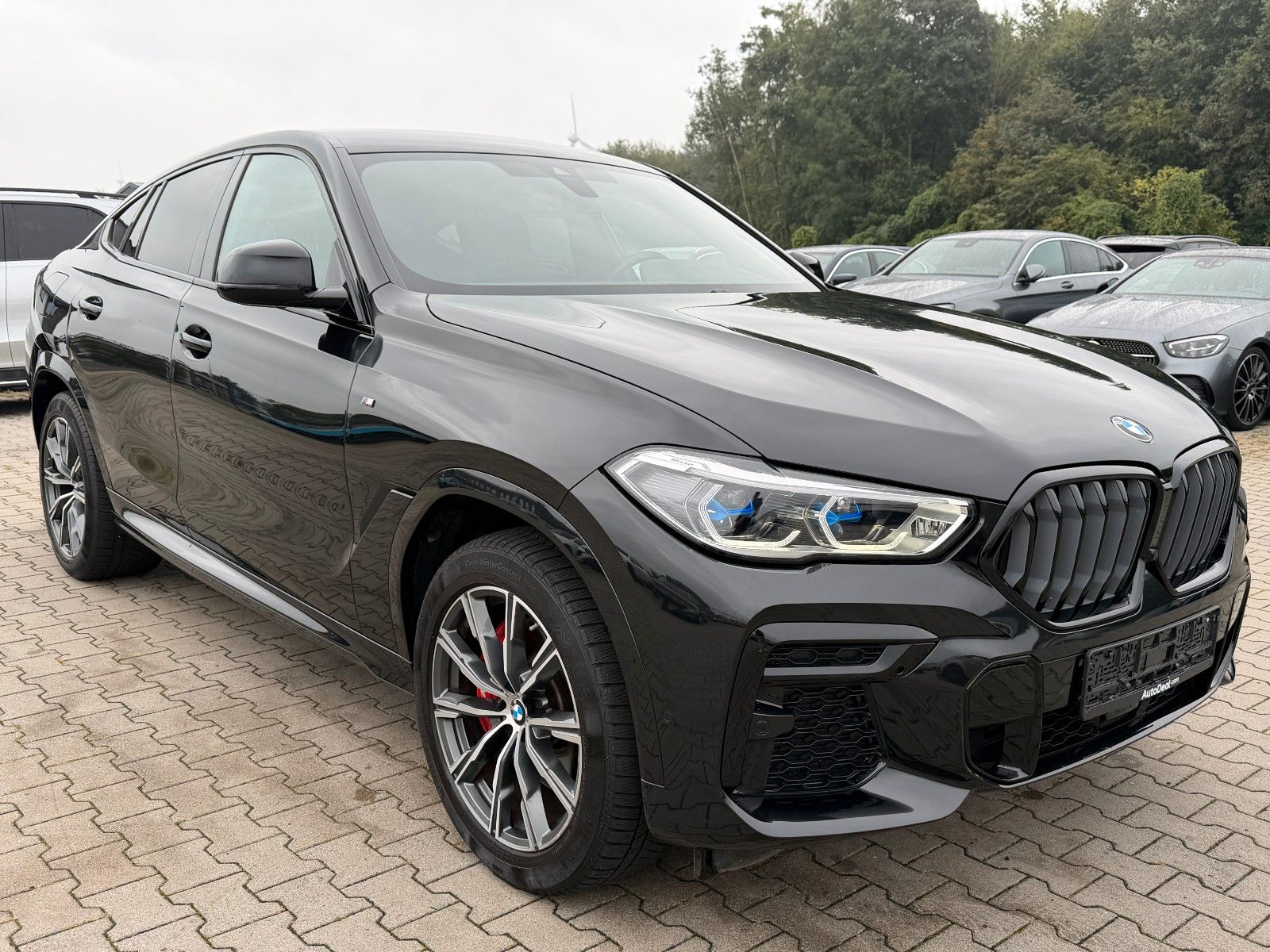 BMW X6 30d M Sport xDrive ACC Iconic glow foto 3