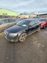 Audi A3 Sportback 2.0 TDI Ambition quattro - Audi A3 aus 2008: Sportback Ambition
