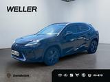 Lexus UX 250h Amazing Edition *Bi-LED*ACC*CAM*CarPlay* - Lexus UX aus 2020
