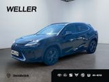 Lexus UX 250h Amazing Edition *Bi-LED*ACC*CAM*CarPlay* - Lexus UX Gebrauchtwagen