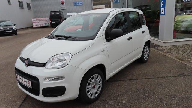 Fiat Panda Easy 1,2 69 PS Weiss+ WR+Zahnriemen neu