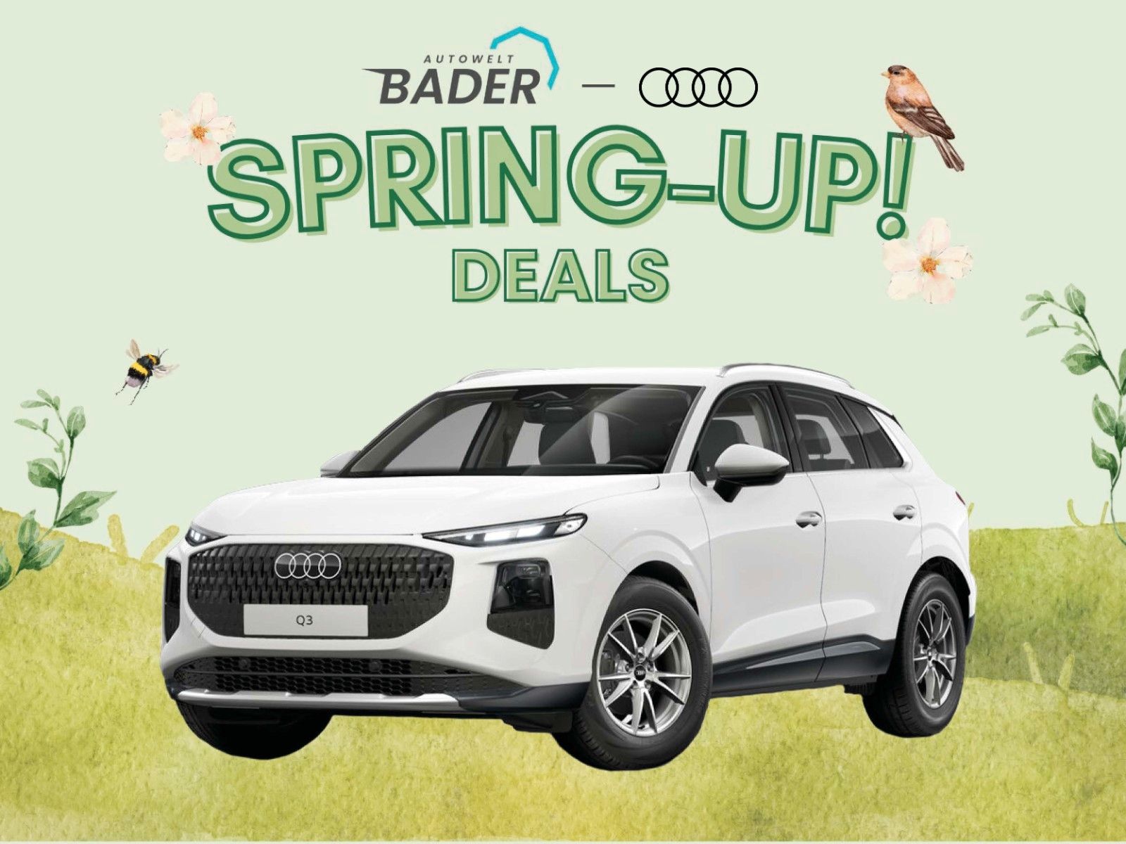 Audi Q3 - Bild 1