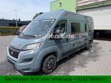 Roller Team Livingstone 5 Sport - Roller Team Kastenwagen