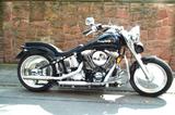 Harley-Davidson FXST - HARLEY-DAVIDSON 1997