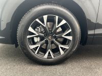 Cupra Terramar - Vorschau Bild 21