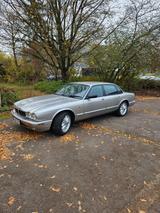 Jaguar XJ8 3.2 - - gebrauchte Jaguar XJ8 aus dem Jahr 1998