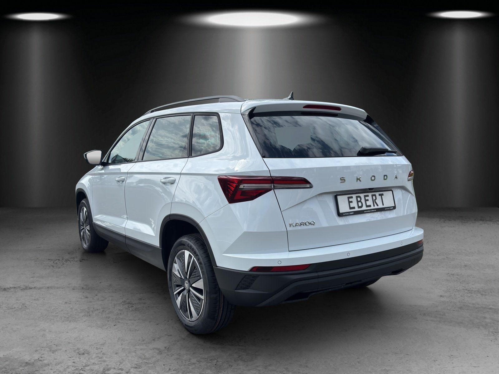 Fahrzeugabbildung SKODA Karoq Balance 1,5 TSI 110 kW DSG MATRIX/RFK/AHK