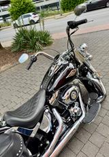 Harley-Davidson Softail Classic  - Harley-Davidson Motorräder in Frankfurt