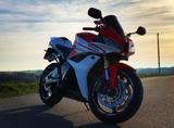 Honda Sehr gepflegte CBR 600RR PC40! - Angebote