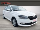 Skoda Fabia Style 1.0 TSI EU6d Apple CarPlay AUTOM.SIT - Skoda: Eu Auto