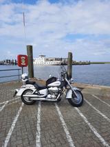 Honda Shadow VT 750 CS Vollausstattung - Offers matching your search criteria