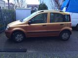 Fiat Panda 1.1 - Fiat Panda in Ludwigshafen