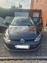 Volkswagen Golf 1.2 TSI 63kW BMT LOUNGE LOUNGE - Volkswagen Golf mit Benzin-Antrieb: 1.6