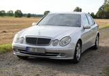 Mercedes-Benz E 220 CDI AVANTGARDE Avantgarde - Mercedes-Benz E 220 aus 2006: Cdi