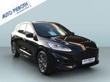 Ford Kuga 2.5 Duratec FHEV ST-LINE X (DFK) - Ford Kuga Tageszulassungen