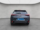 Lexus UX 250h F-Sport Design - Lexus UX: F Sport
