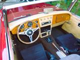 Austin Healey Andere - Austin Healey aus 1963