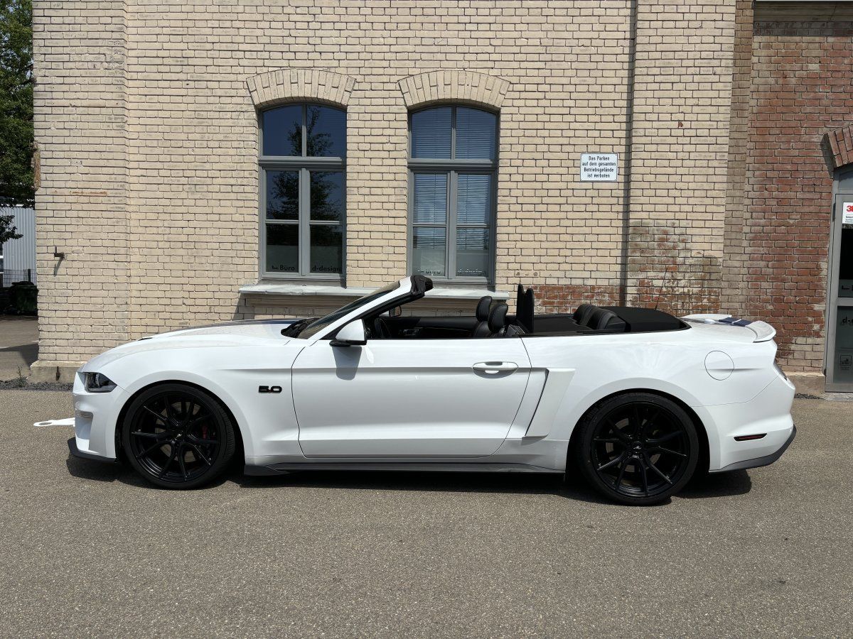 Ford Mustang (GT 5.0 Convertible Shelby-Optik/20Zoll/T)