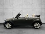 MINI COOPER S Cabrio Paket-Chili*-City*-Lighthou.*uvm - MINI MINI aus 2012: Roadster