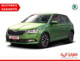 Skoda Fabia 1.0 Drive 125 Klimaaut. ACC Tempomat PDC - Skoda Fabia: Grün