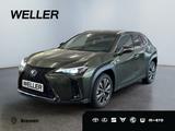 Lexus UX 250h F SPORT Design *LED*ACC*CAM*SHZ*SmartKey - Lexus in Bremen