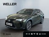 Lexus UX 250h F SPORT Design *LED*ACC*CAM*SHZ*SmartKey - Lexus UX: F Sport