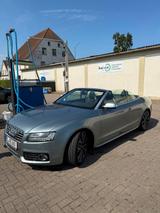 Audi S5 3.0 TFSI S tronic quattro Cabriolet - - Audi S5: 3.0