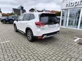 Subaru Forester 2.0ie e-Boxer Comfort LED/ACC/BLIS - Subaru Gebrauchtwagen in Rostock