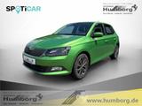 Skoda Fabia 1.0 MPI Edition DAB SHZ Notbremsass. Temp  - Skoda Fabia: Grün