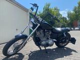 Harley-Davidson XL1 Sportster 883 100th Anniversary Costum - HARLEY-DAVIDSON 2003 SPORTSTER 883