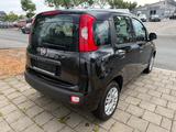 Fiat Panda Easy*City Life*Klima*Wenig KM*1Hand* - gebrauchte Fiat Panda aus dem Jahr 2019